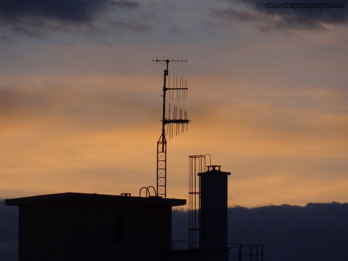 antenneradio20130221