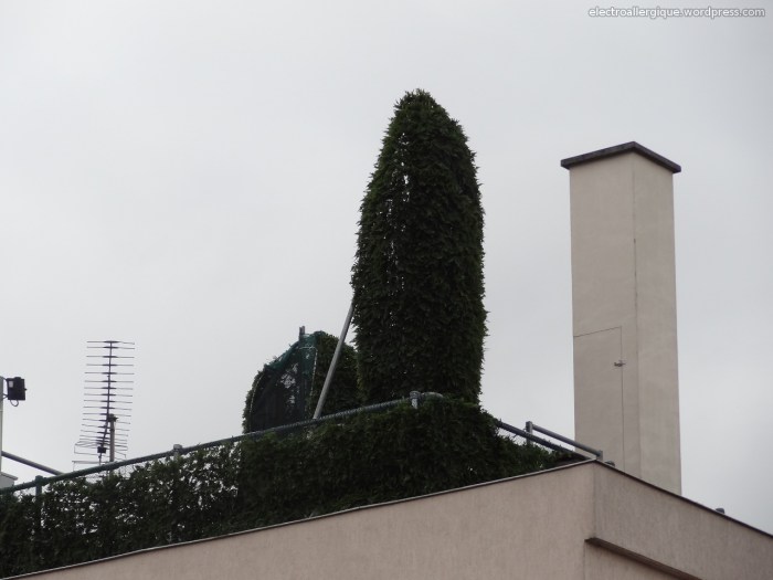 antennerelais20130221