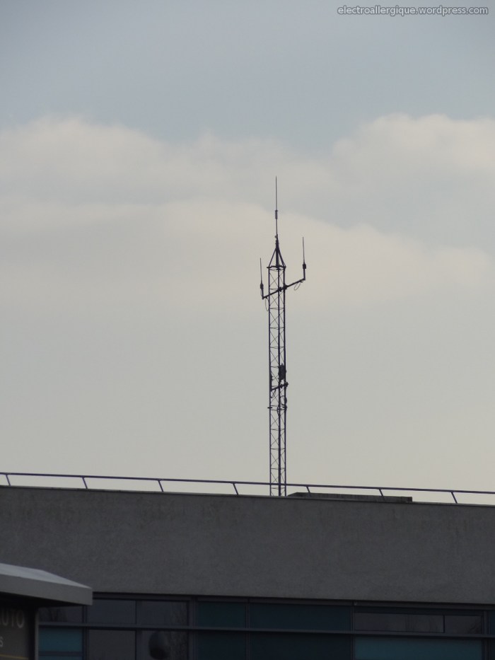 antennetetra220130221