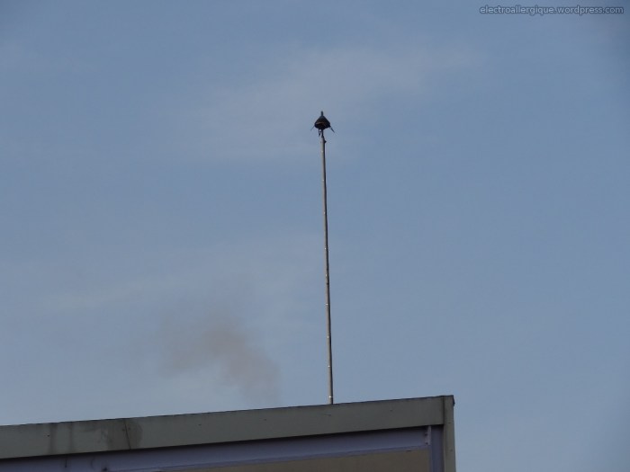 antennetetra320130221