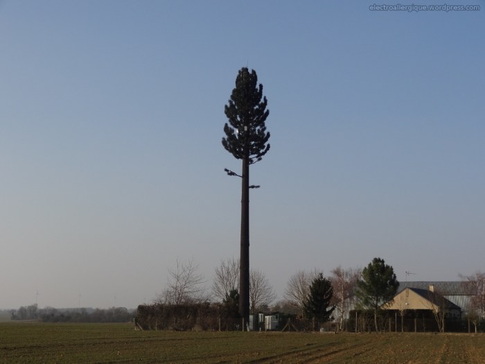 emetteurs_camoublés_en_arbre