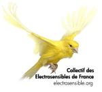 logo_electrosensibledotorg