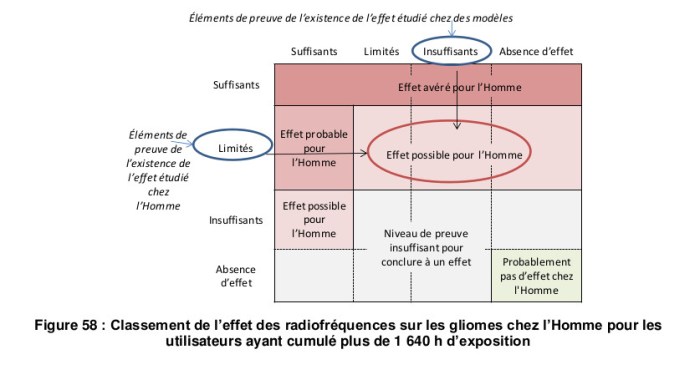 figure58_anses_rapport_15102013