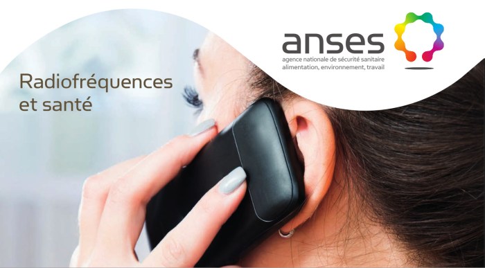 logo_anses_rapport_2013