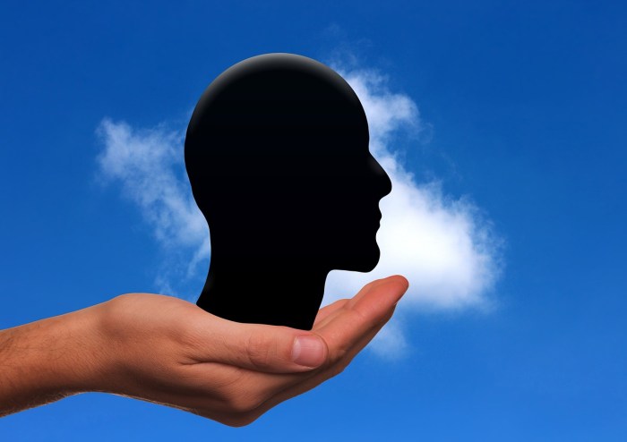 Crédit : Pixabay - Géralt - CC0