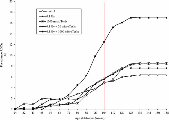 Incidence cumulée de tumeurs du sein au cours de la vie des rats femelles (en semaine) Figure 7 de l'étude de Ramazzini avec notre ajout d'une ligne rouge indiquant les 104 semaine cumulés